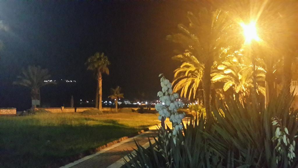 Zeus Hotel Tasucu エクステリア 写真